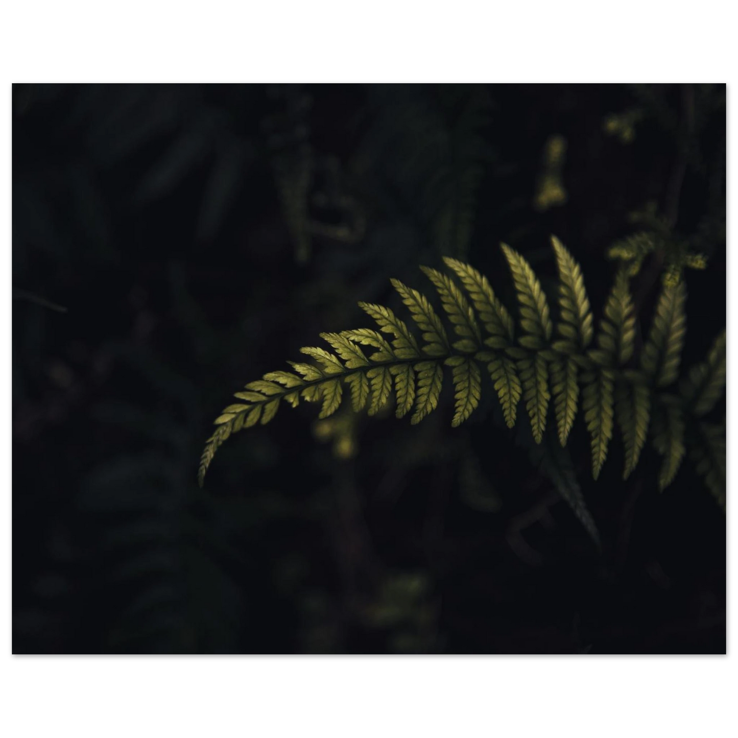 9879a51c-fd2d-4a30-ad05-ec0e8f8390ca