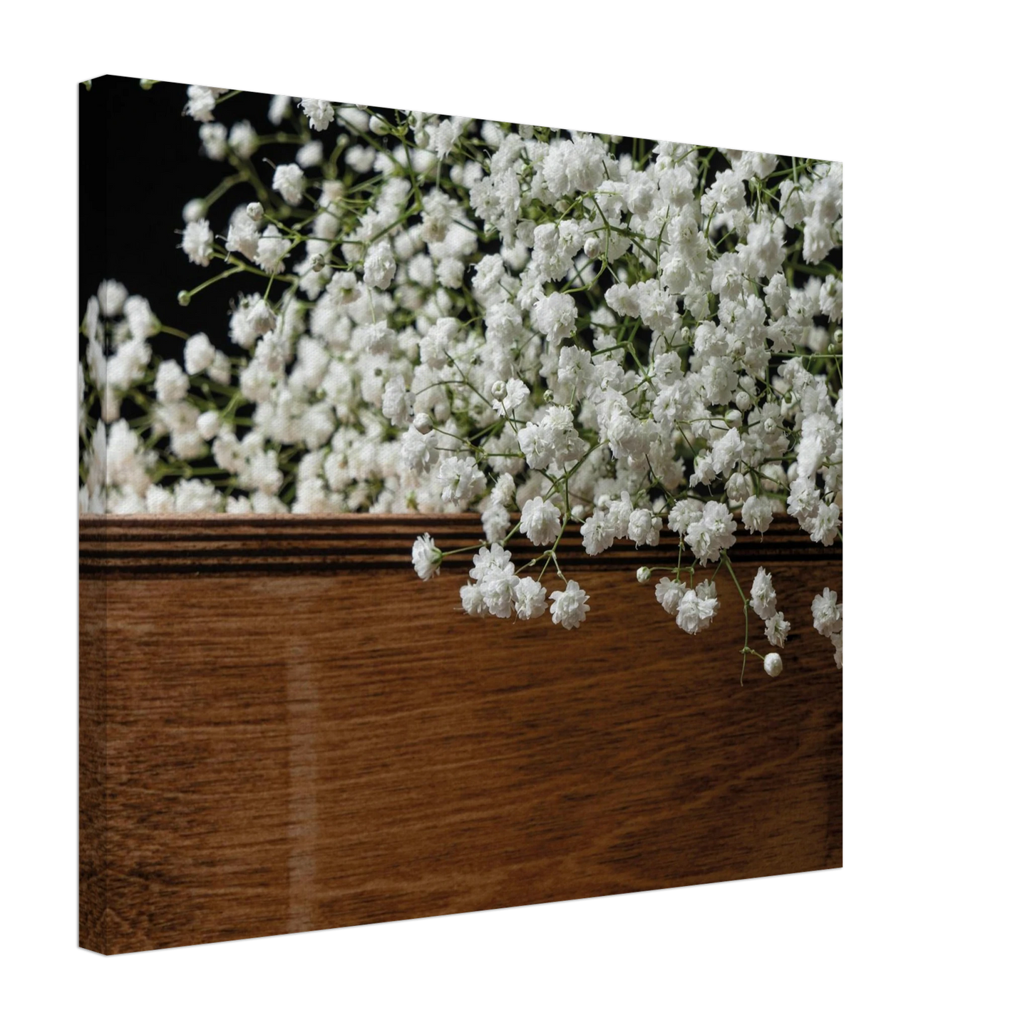 9d951a17-2bb0-4ae8-9c6b-a9ddbb806014