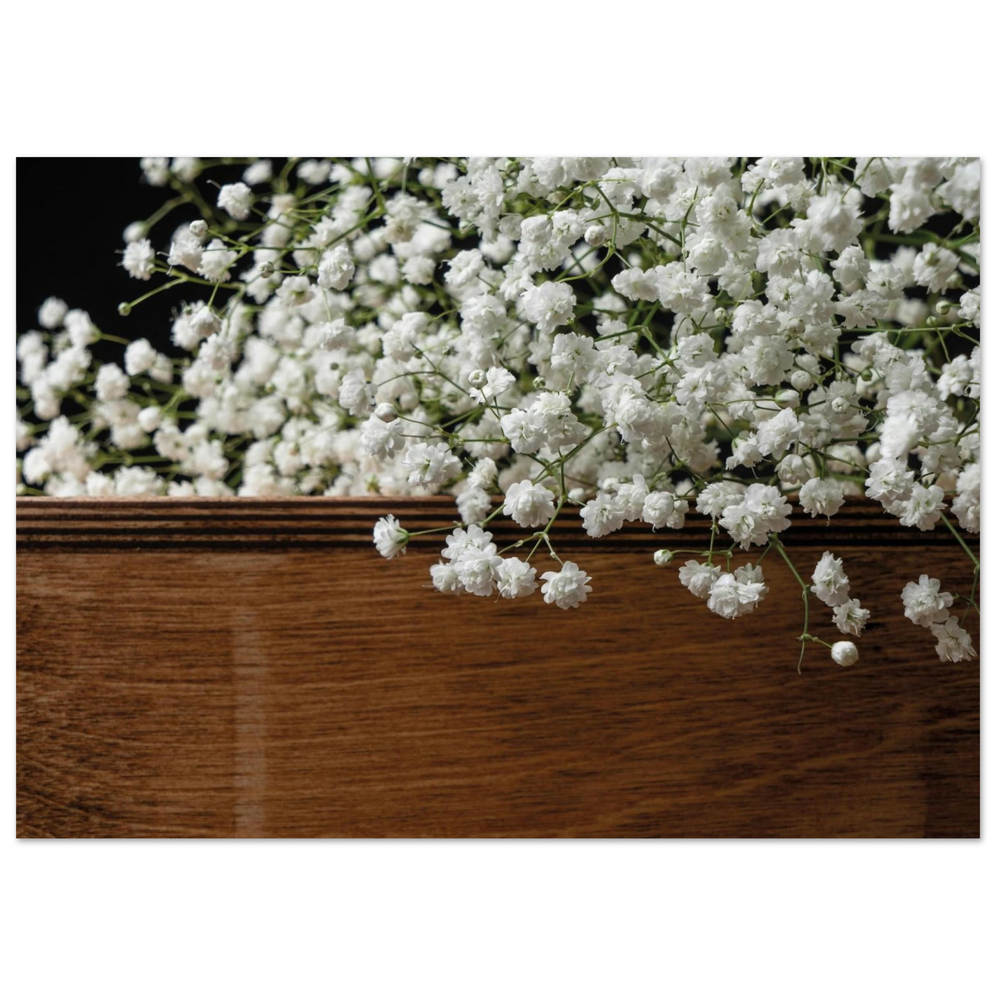 a1d05cd0-5273-4660-91a2-9c4d75e6aa95