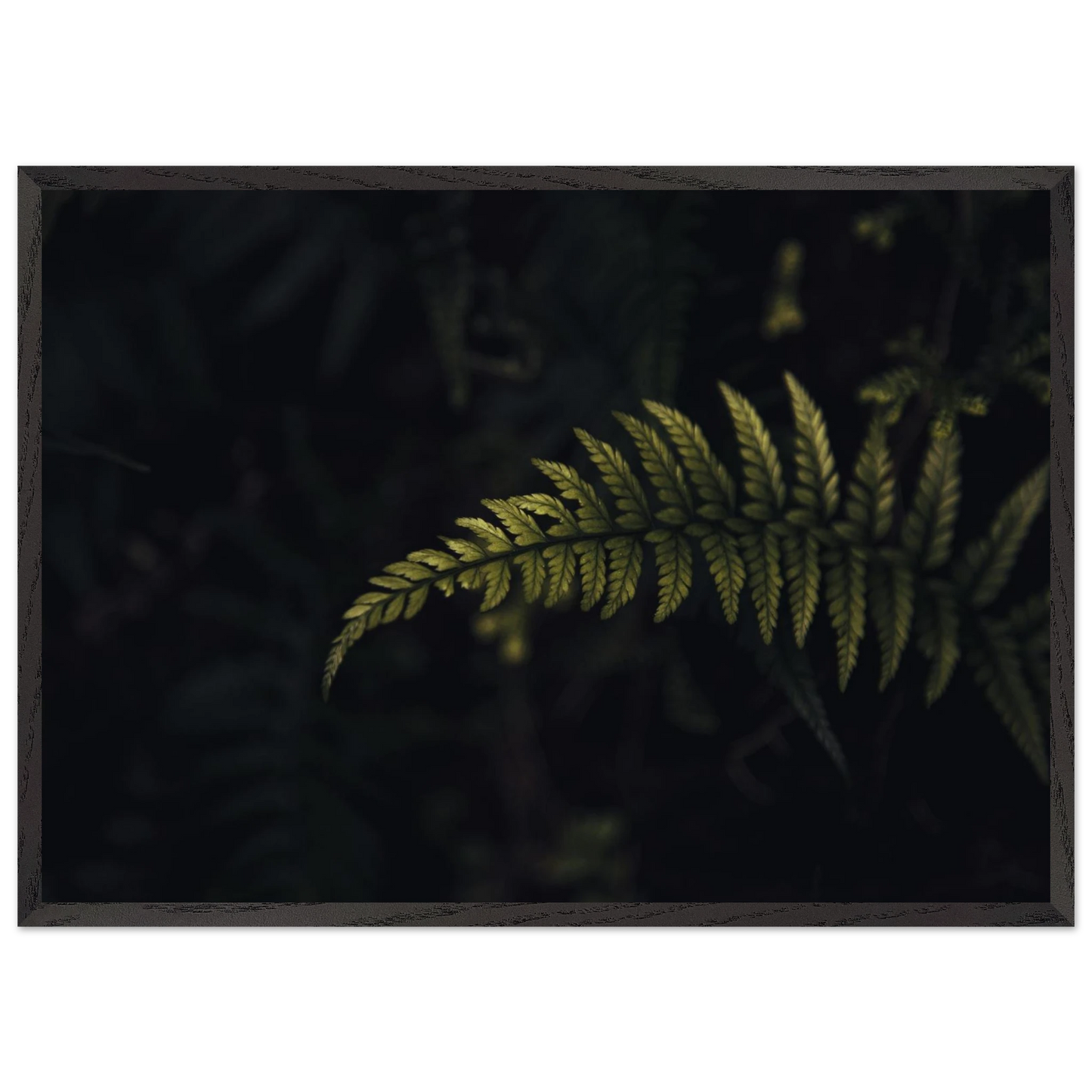 a2388eac-64ce-4ca3-bd16-85dfc66ffdf8