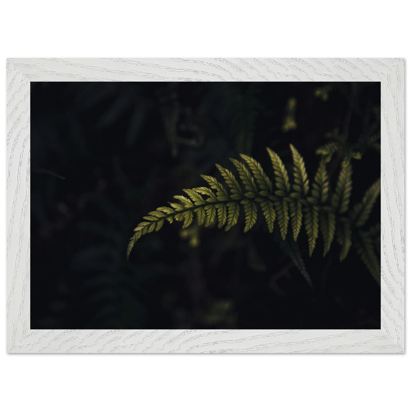 a4c1c686-49af-424f-ac24-6e668f661bc3