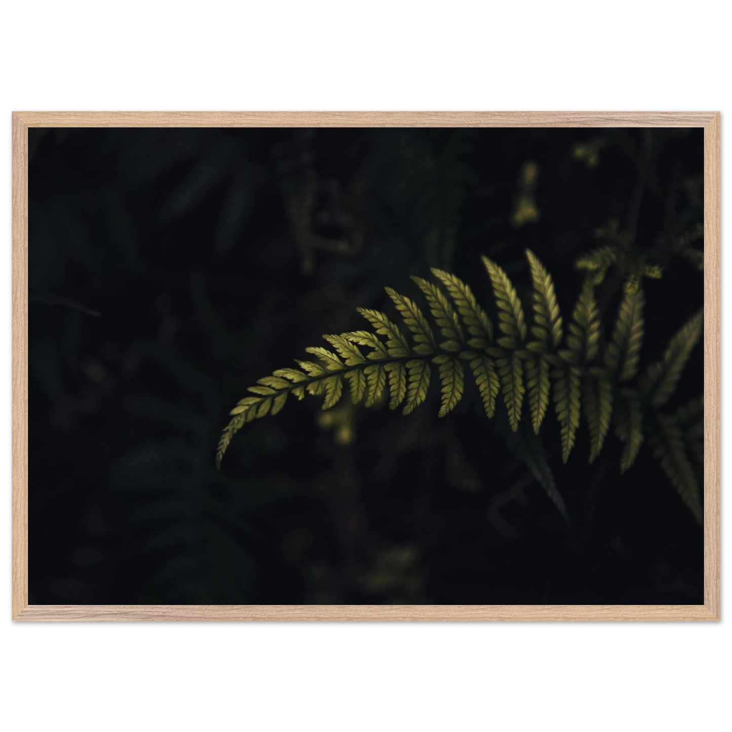 a79b3a3e-f153-4d9d-a4f8-7a9effc8e3ec