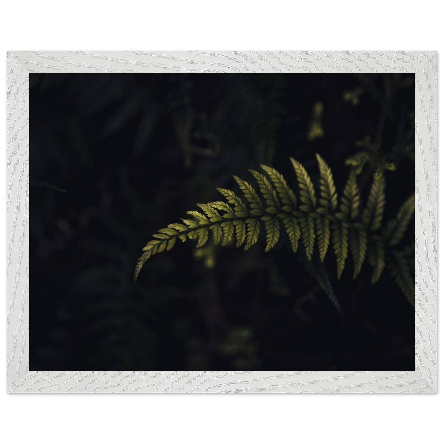 ae6528c8-6a84-4c89-ac18-bfecb23883aa