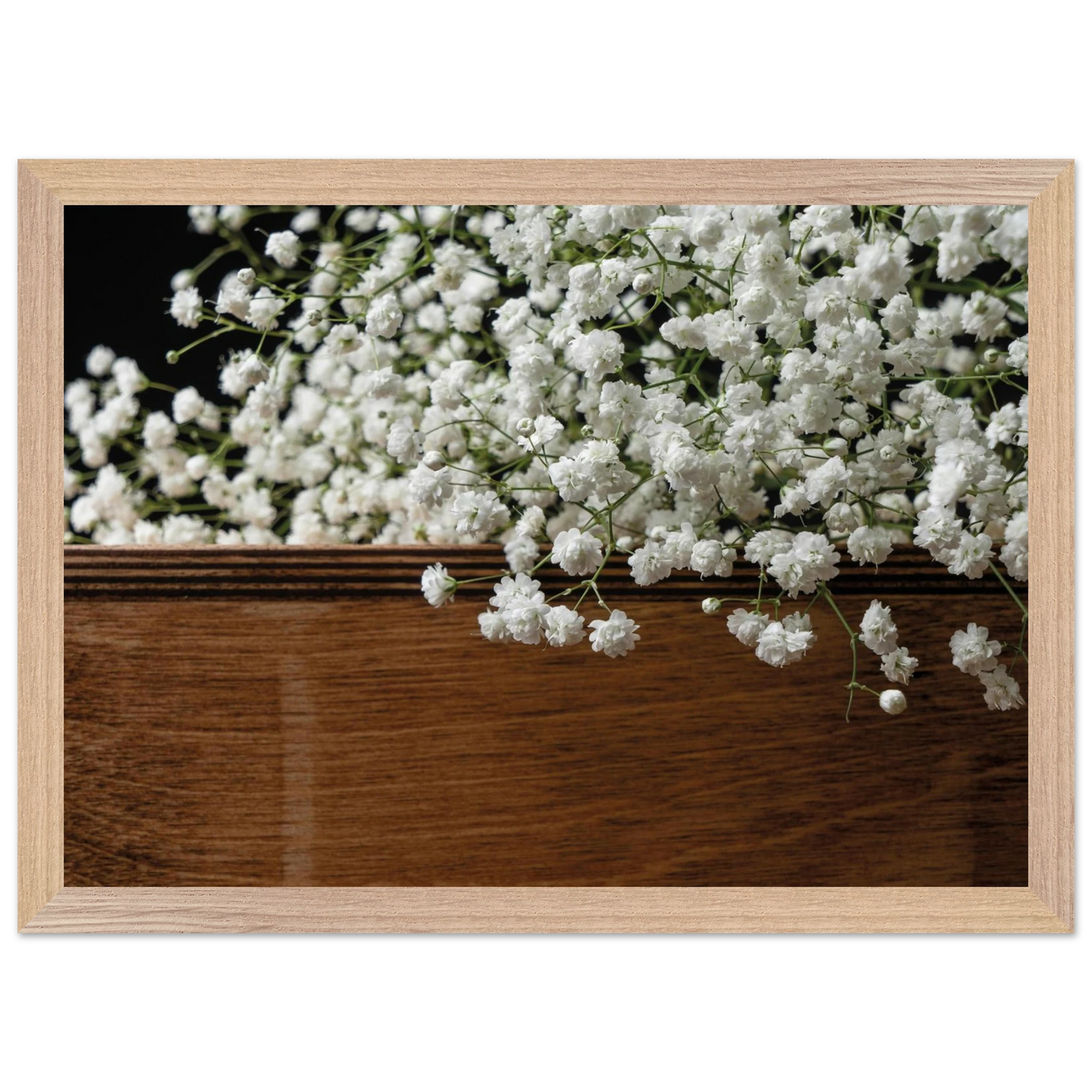 b1883bd4-3423-408a-81d4-813793b298cd