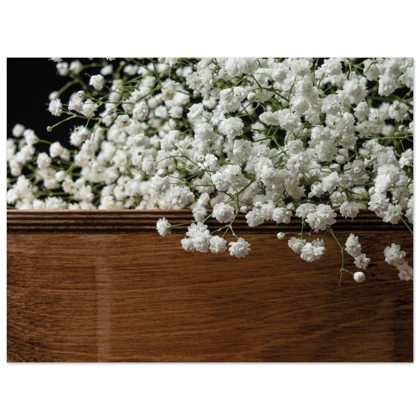 b5a5f0f4-2b5f-48fd-9b9e-8242db266b78