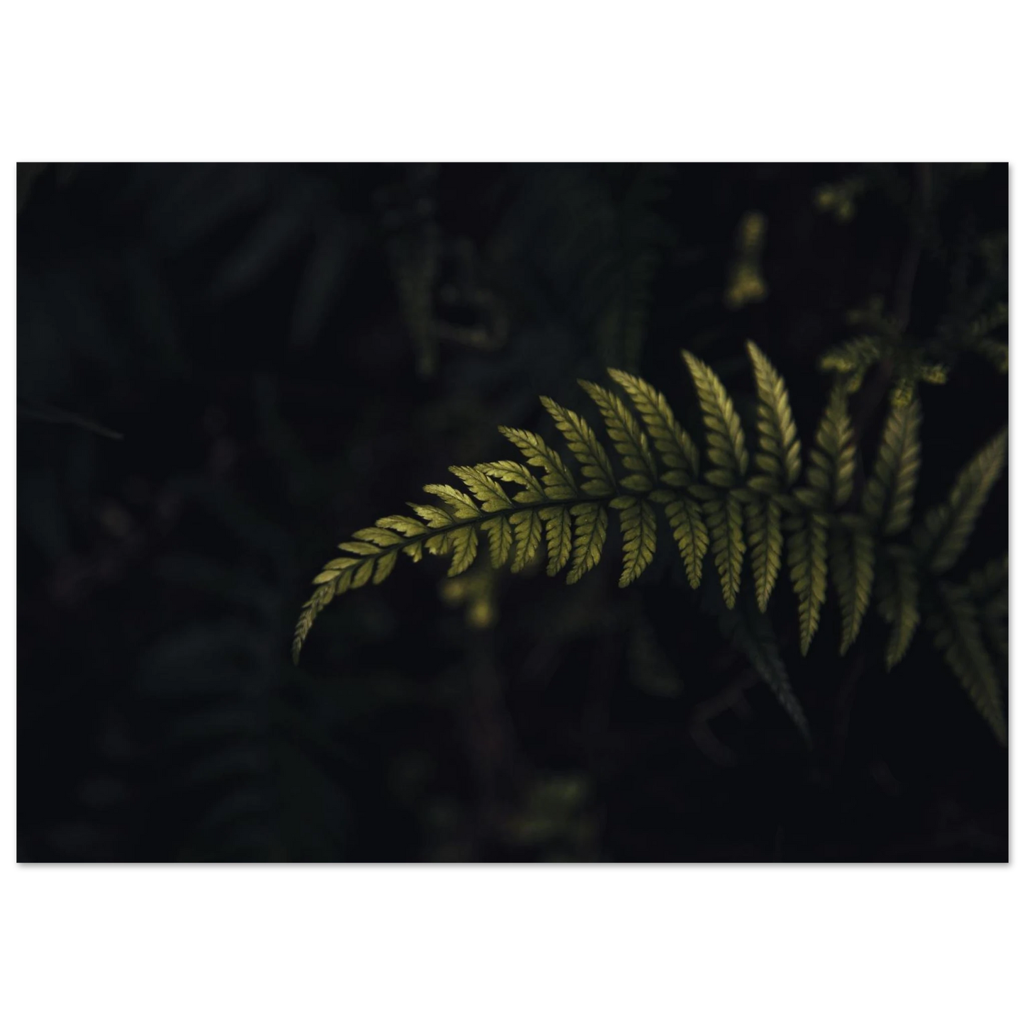 c9069547-65ab-46cb-96fa-a11b3d2ef071