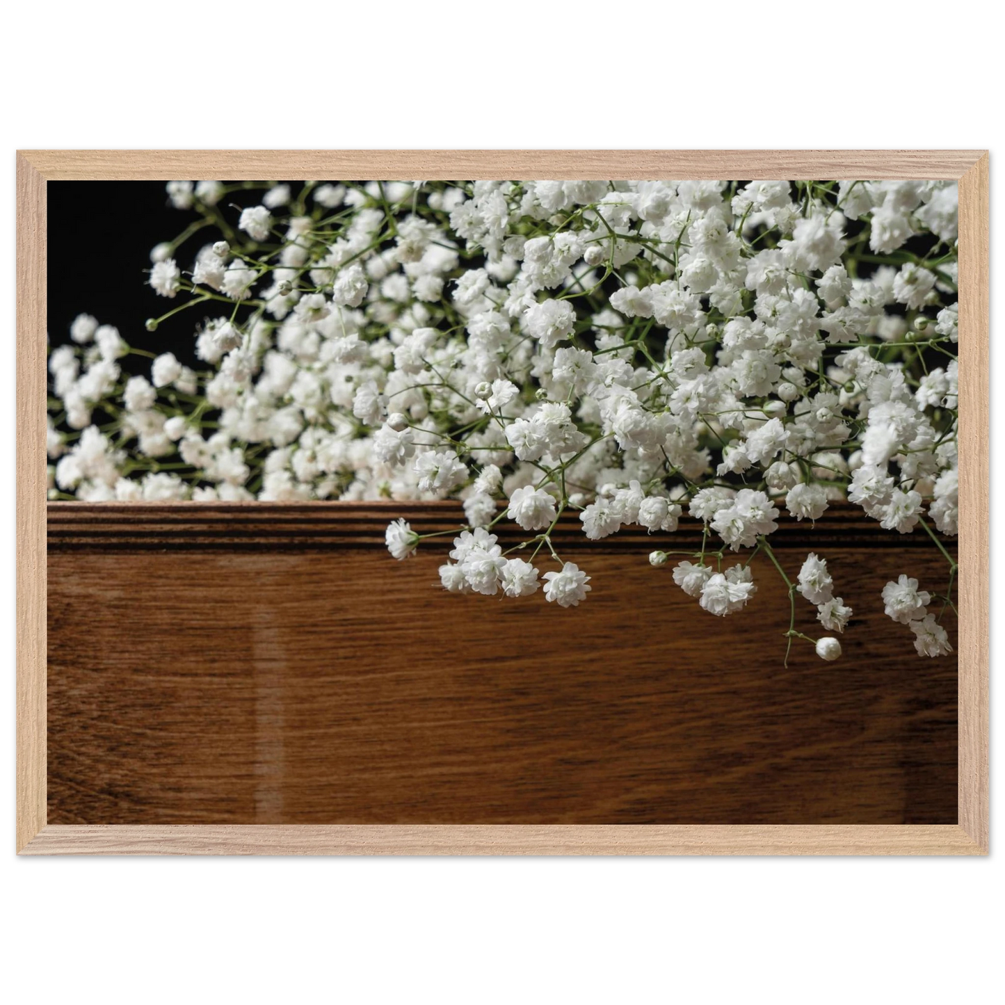 ca418078-bc40-406e-a8a8-e993ddbdfc4a