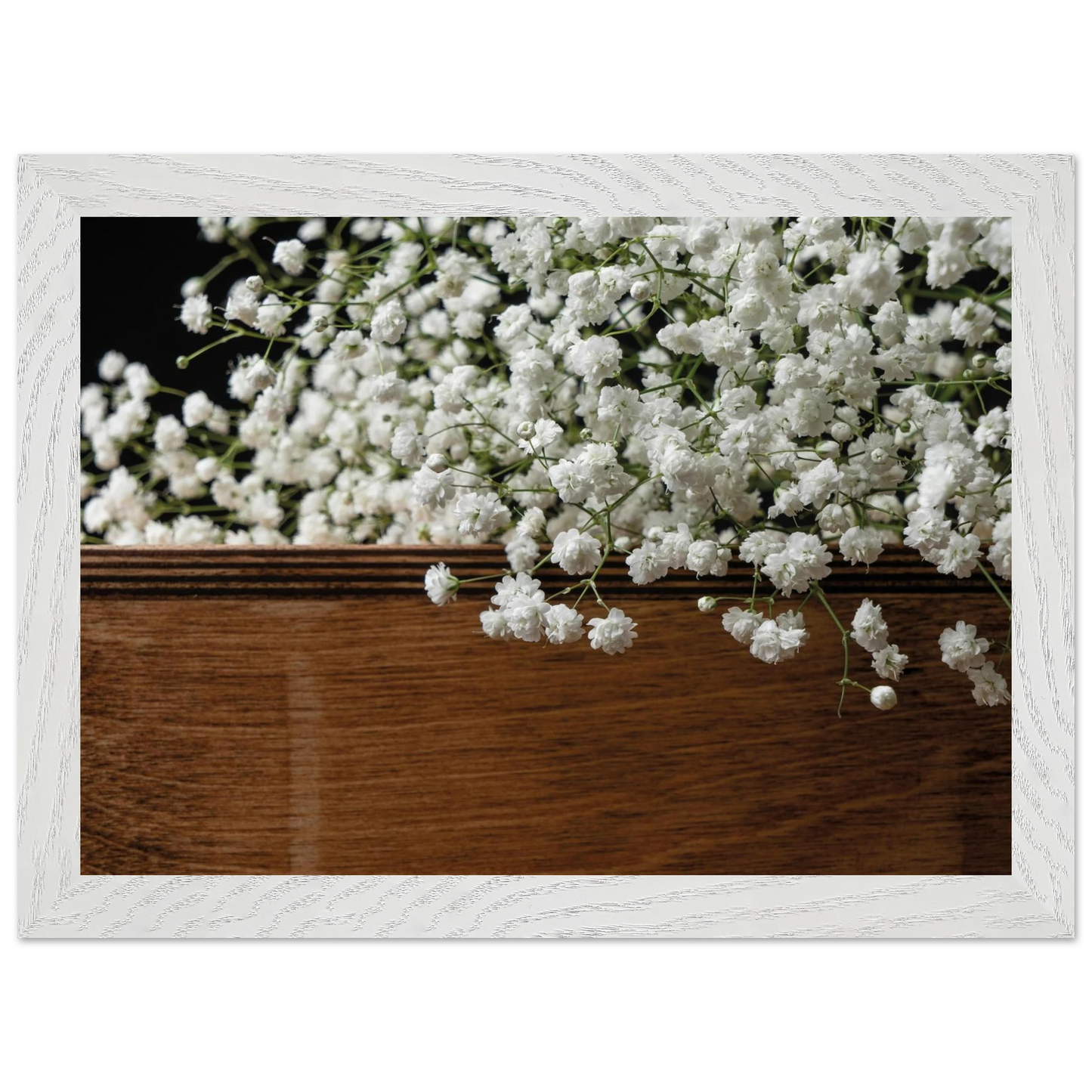 d272d1fa-e039-48a9-b0a5-2649ed2358f9