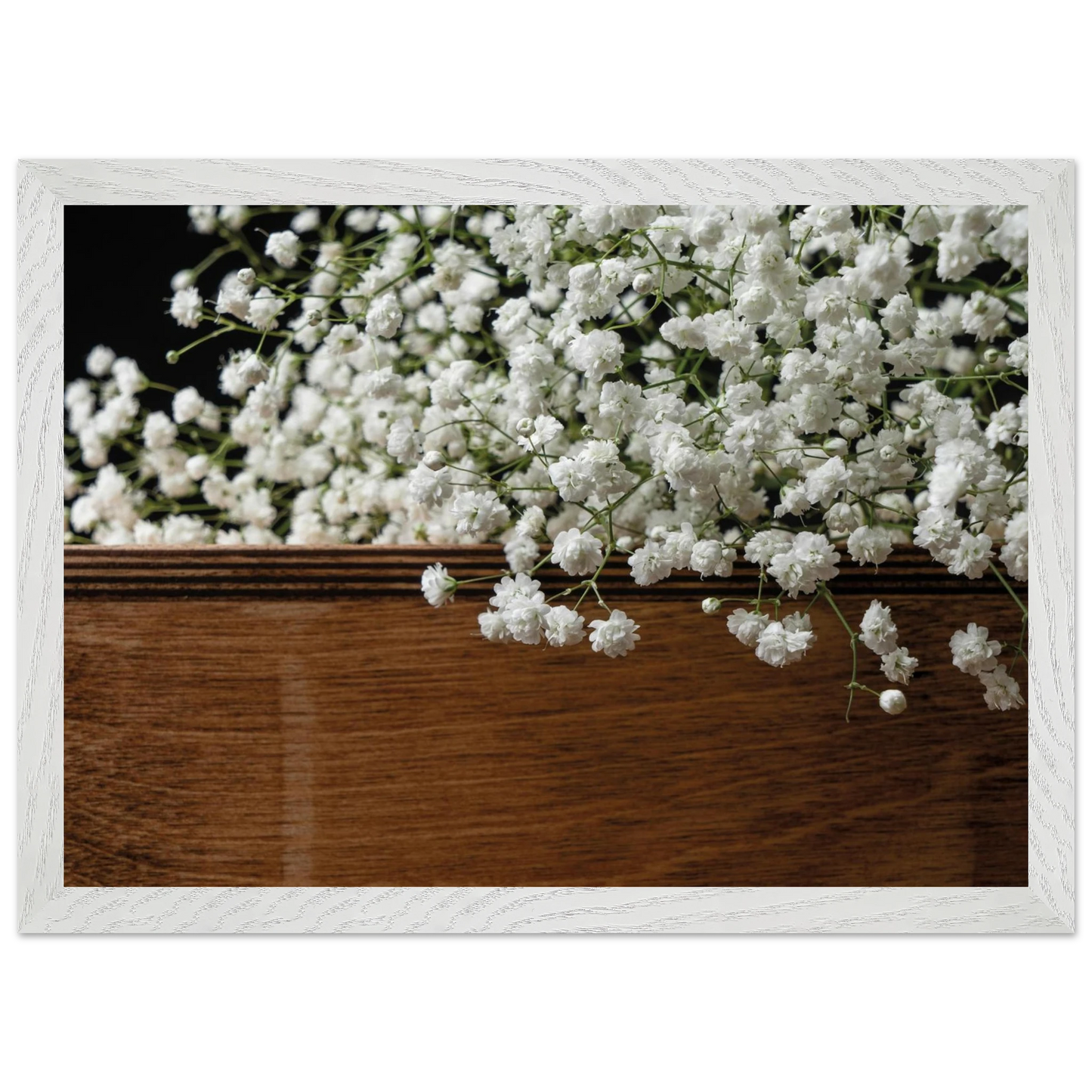 e5119af0-118e-4f3d-bc6a-995730d754a5