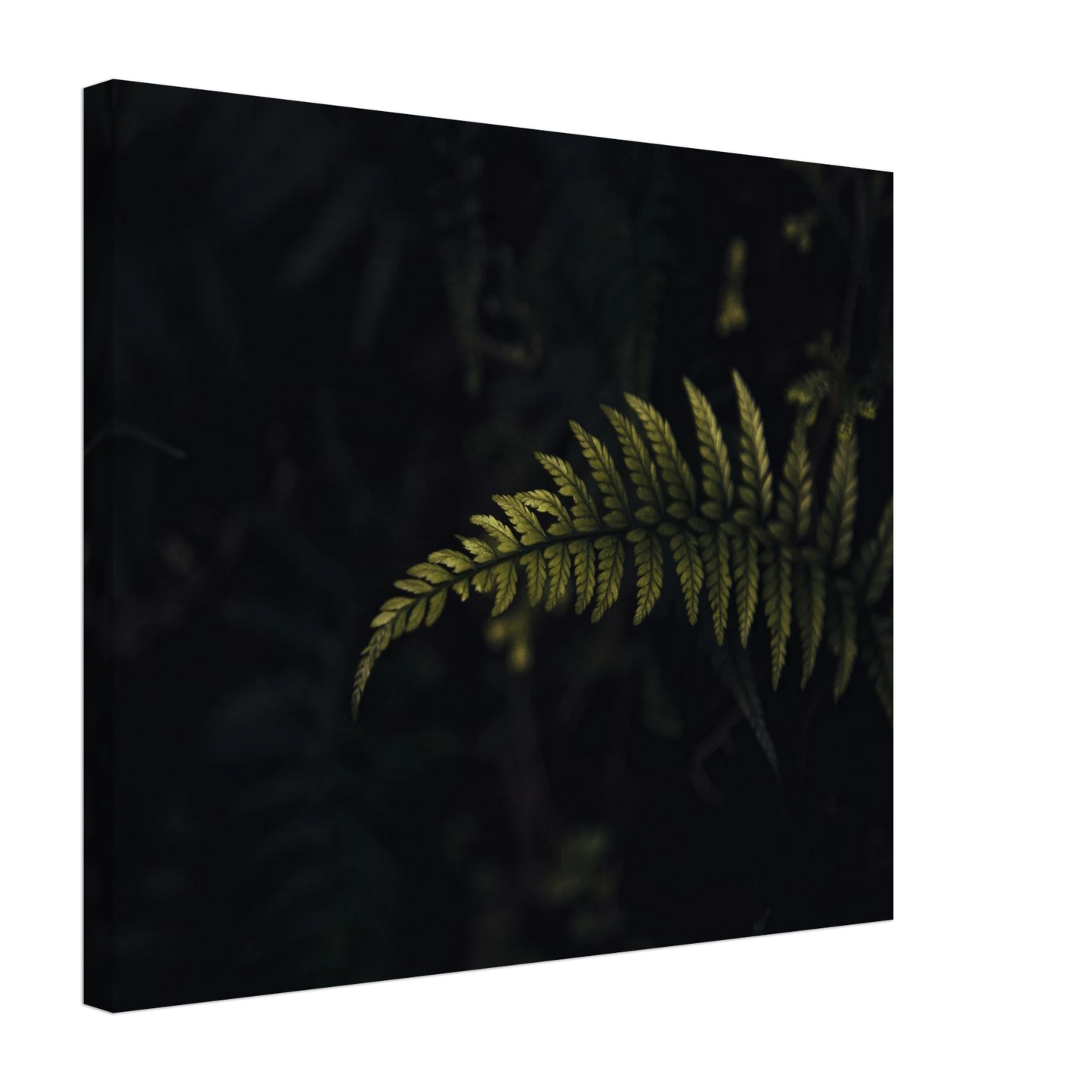 e552f9a4-0f32-47fd-9b47-78ca771a5085