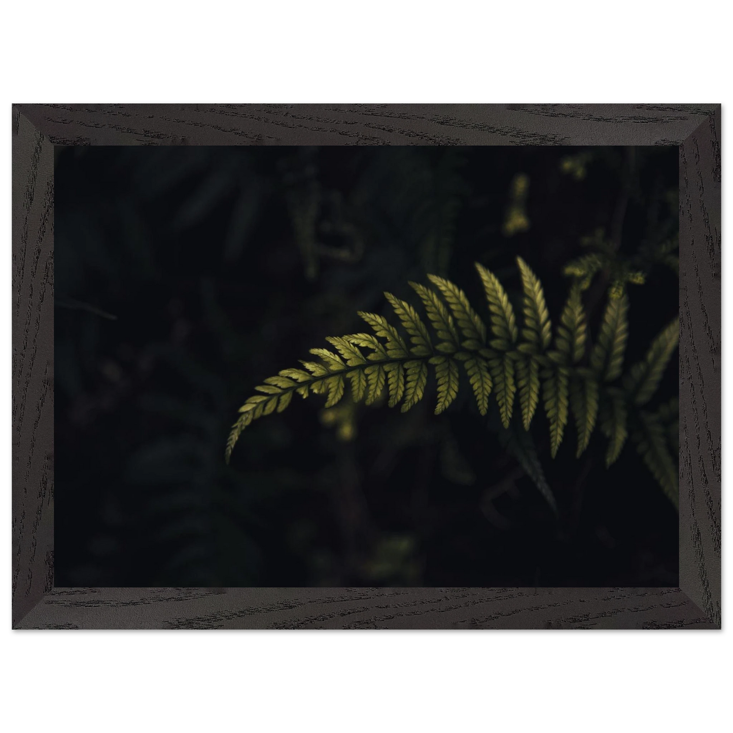 e6a6c784-2cf2-404b-9e0f-ece01913a4b3