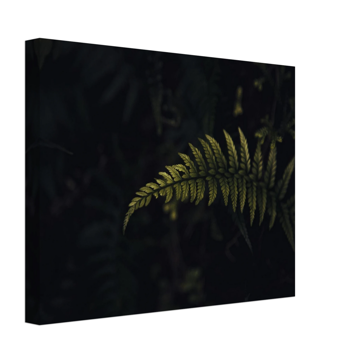 edcc8d4d-ed66-4bb4-baf5-7bd9deb7cdaa