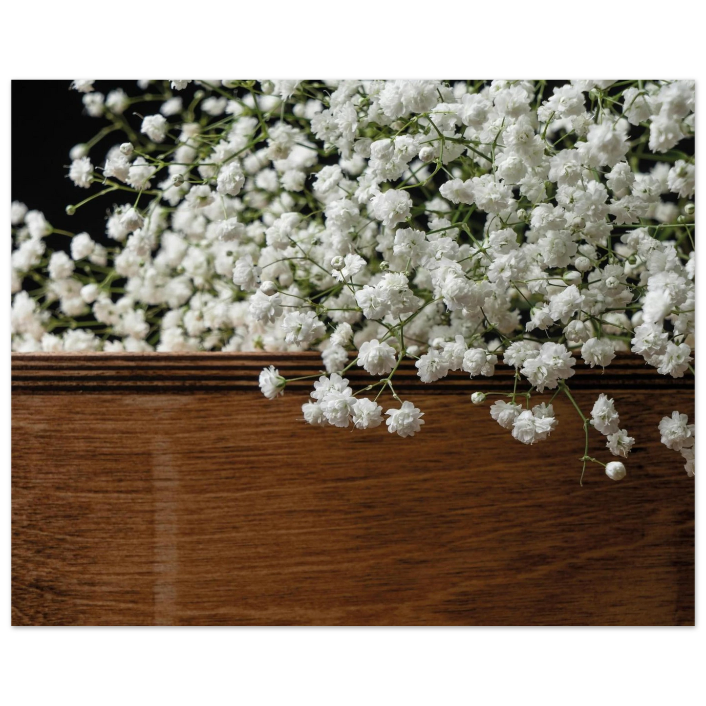 f1535367-ee9a-416f-aaa8-8283b3fbdea3