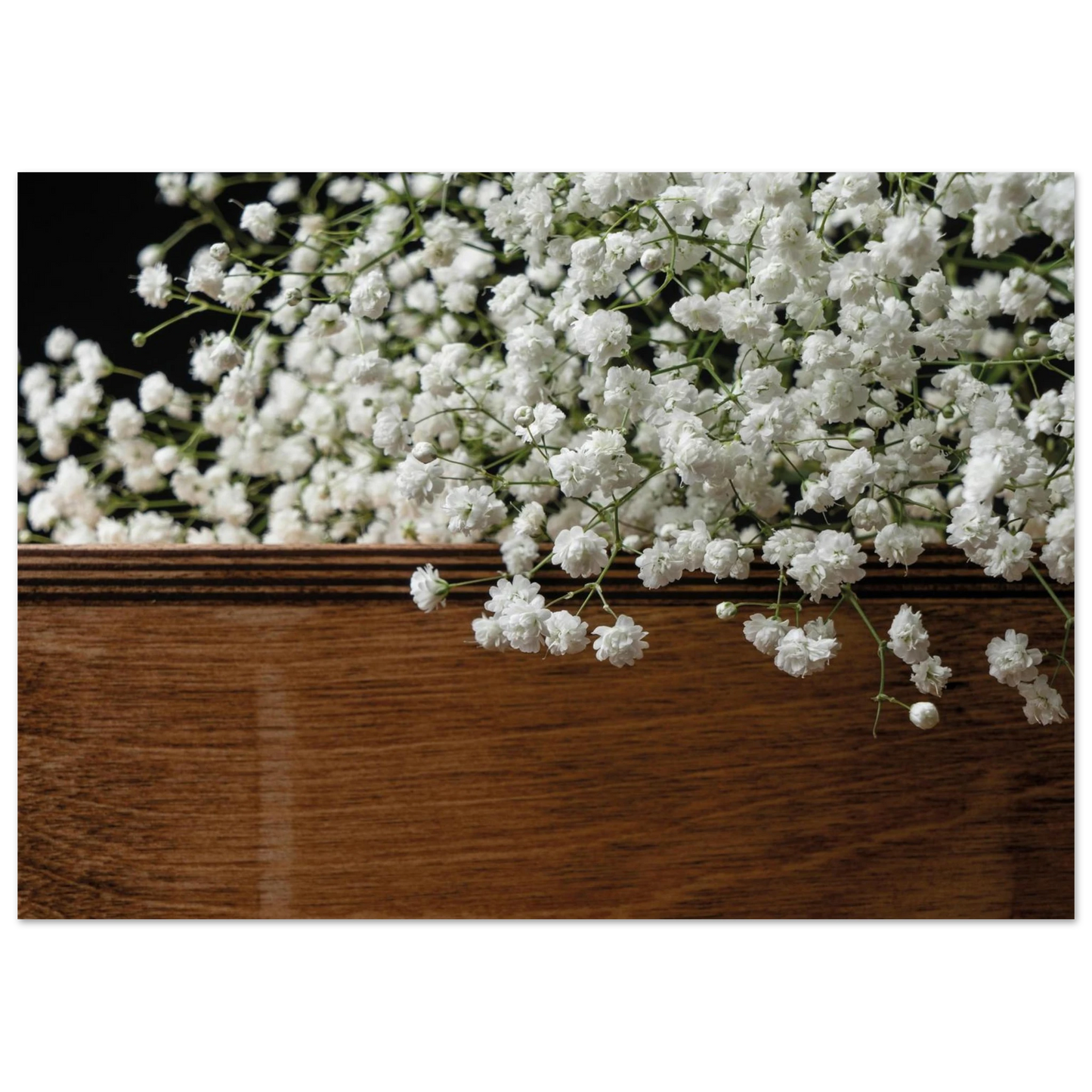 f497f876-c5a8-46e8-8689-daf63bf2203c