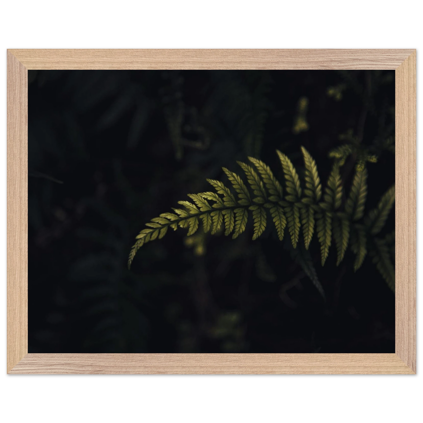 fb31a14d-0965-4ea6-9716-638155f806bd