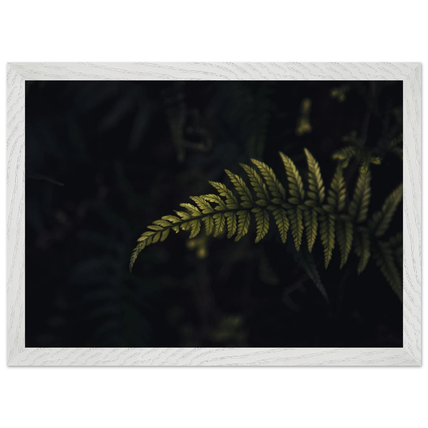 fc4e7fe4-a93a-4894-b894-66e8a530720e