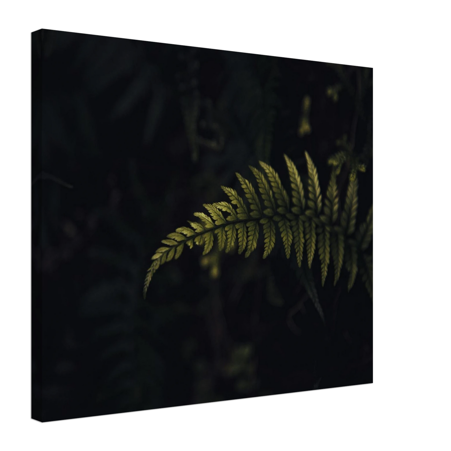 fde1029f-dbf2-43a6-afea-c724ac658f5b