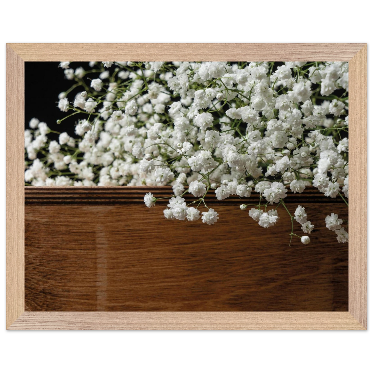 fe285e49-a988-469e-8181-f48a98e2d628