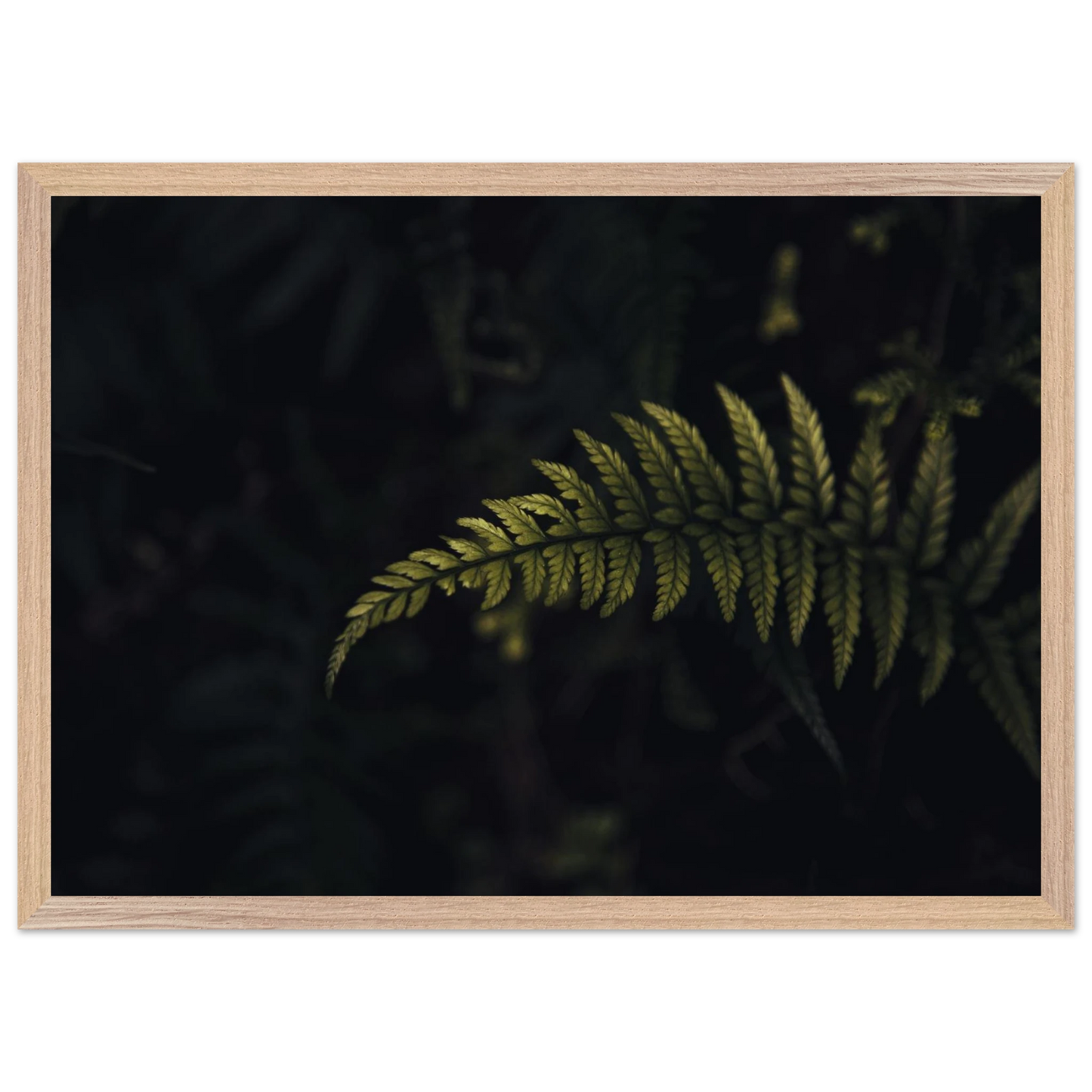 fe4e8b50-39db-40f7-bb5b-37e684f4423f